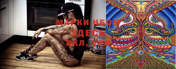 ПСИЛОЦИБИНОВЫЕ ГРИБЫ Абаза