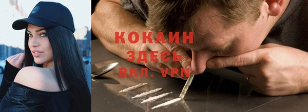 ПСИЛОЦИБИНОВЫЕ ГРИБЫ Абаза