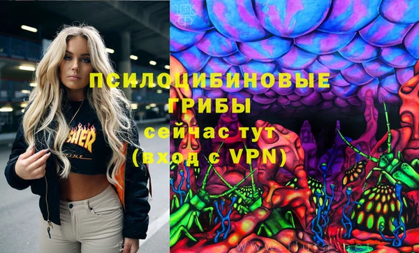 МДПВ Абдулино