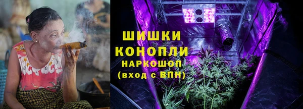 ПСИЛОЦИБИНОВЫЕ ГРИБЫ Абаза