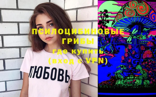 ПСИЛОЦИБИНОВЫЕ ГРИБЫ Абаза