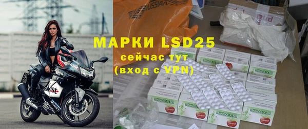 ПСИЛОЦИБИНОВЫЕ ГРИБЫ Абаза